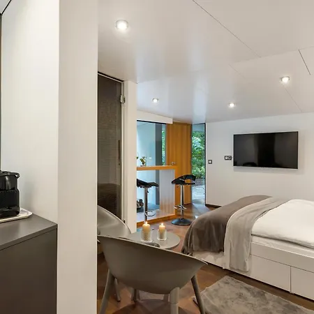 Jasna Mansion 빌라 크라니스카고라