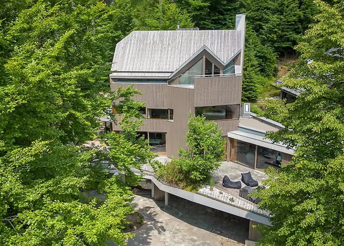 Villa Jasna Mansion *